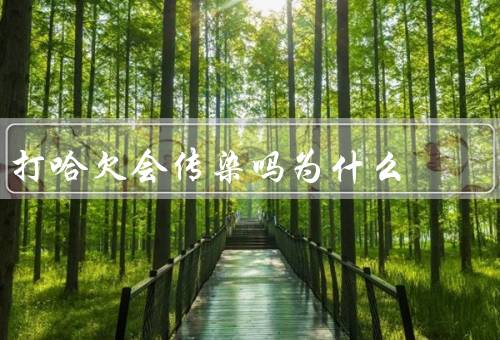 打哈欠会传染吗为什么