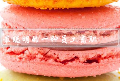 最聪明的一种员工离职