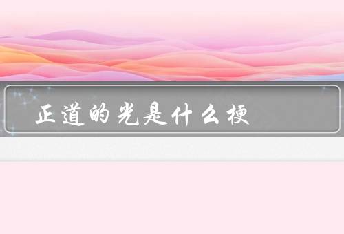 正道的光是什么梗