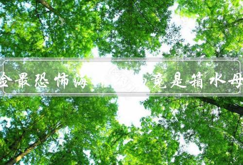 最危险最恐怖海洋动物竟是箱水母