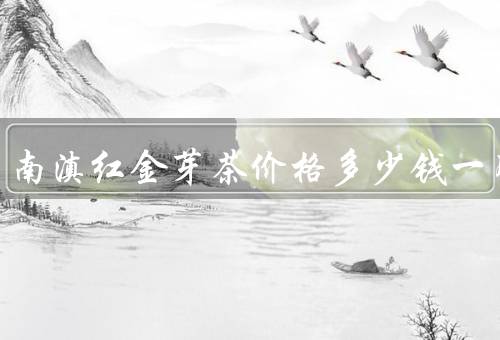 正宗云南滇红金芽茶价格多少钱一斤