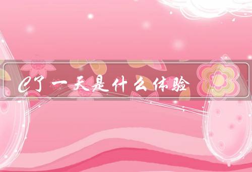 C了一天是什么体验