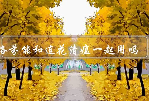 布洛芬能和连花清瘟一起用吗