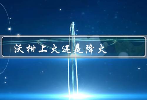 沃柑上火还是降火