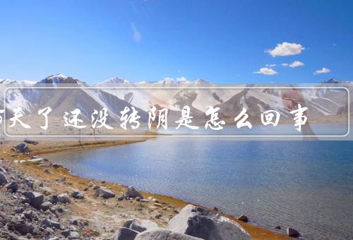 15天了还没转阴是怎么回事