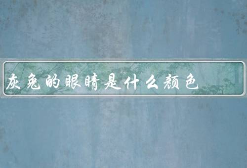 灰兔的眼睛是什么颜色