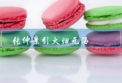 张仲景引火归元汤