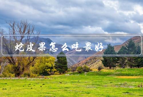 蛇皮果怎么吃最好