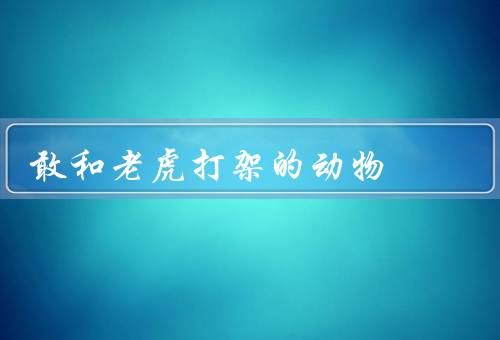 敢和老虎打架的动物