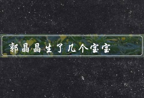 郭晶晶生了几个宝宝
