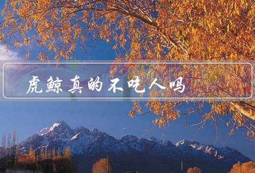虎鲸真的不吃人吗