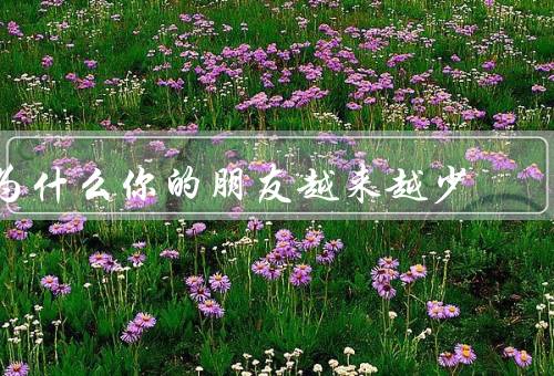 为什么你的朋友越来越少