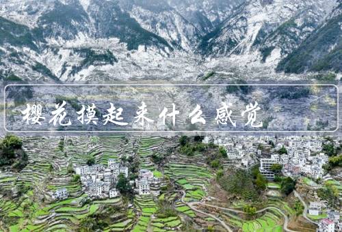 樱花摸起来什么感觉