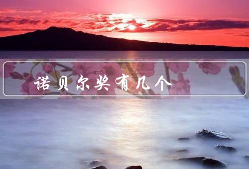 诺贝尔奖有几个