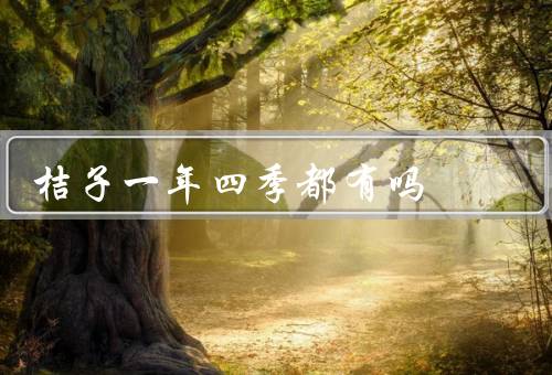 桔子一年四季都有吗