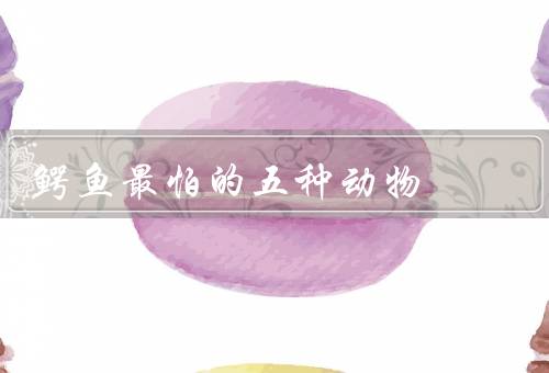 鳄鱼最怕的五种动物