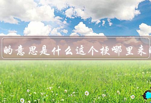 绝绝子的意思是什么这个梗哪里来的