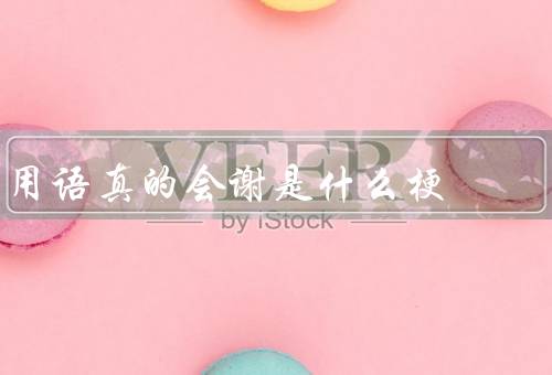 用语真的会谢是什么梗