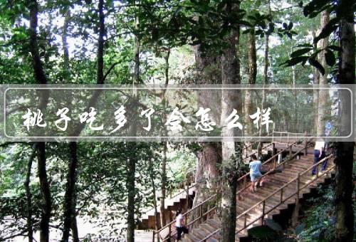 桃子吃多了会怎么样