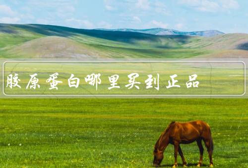 胶原蛋白哪里买到正品