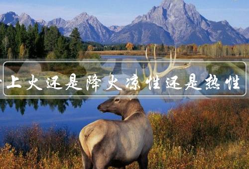 沃柑上火还是降火凉性还是热性