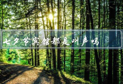 七夕节宾馆都是叫声吗