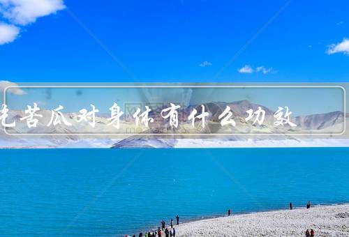 吃苦瓜对身体有什么功效