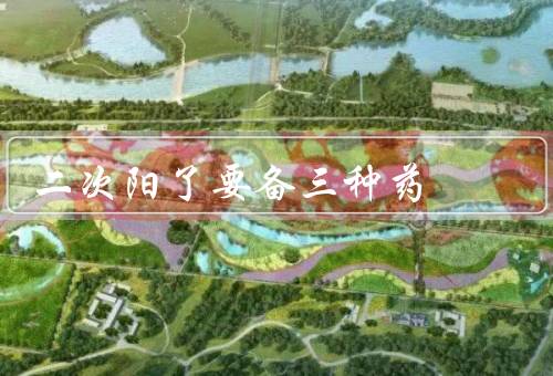 二次阳了要备三种药