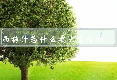 喝西梅汁为什么要大量喝水