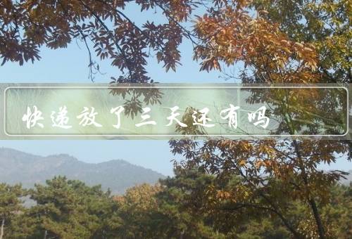快递放了三天还有吗
