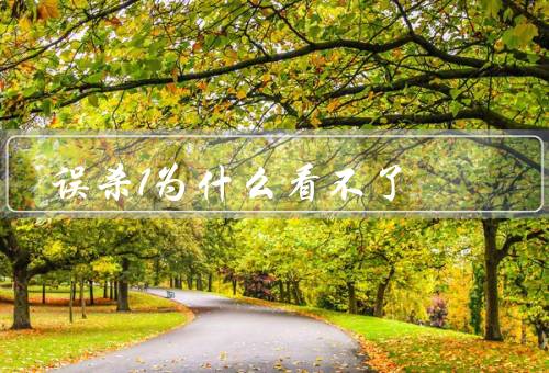 误杀1为什么看不了