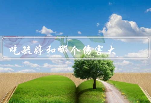 吃毓婷和哪个伤害大