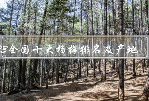2023全国十大杨梅排名及产地