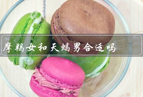 摩羯女和天蝎男合适吗