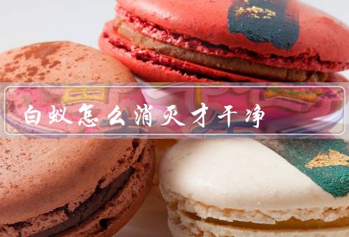 白蚁怎么消灭才干净