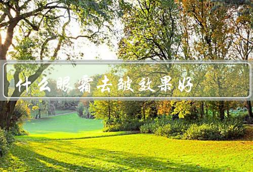 什么眼霜去皱效果好