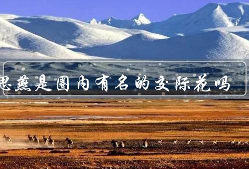 霍思燕是圈内有名的交际花吗