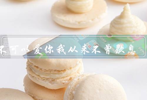 可不可以爱你我从来不曾歇息