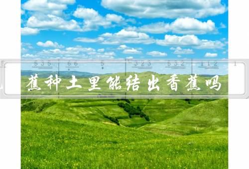 把香蕉种土里能结出香蕉吗