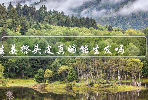 生姜擦头皮真的能生发吗