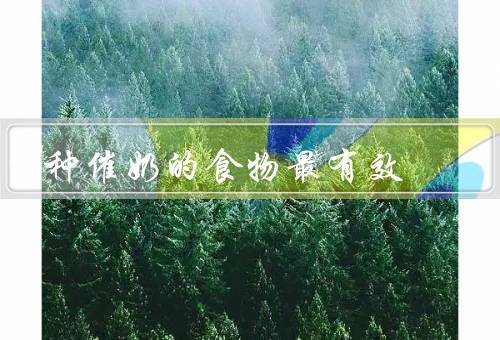 四种催奶的食物最有效