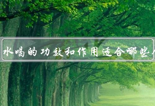 石斛泡水喝的功效和作用适合哪些人