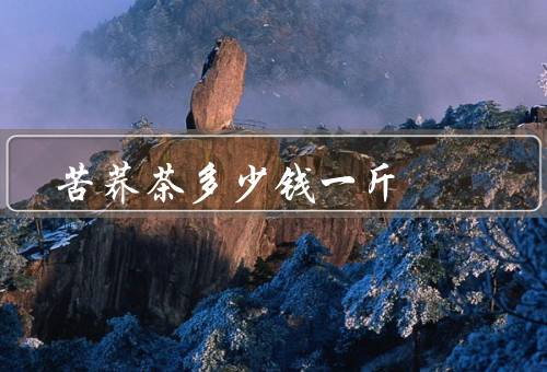 苦荞茶多少钱一斤