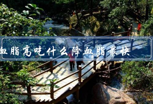 血脂高吃什么降血脂最快