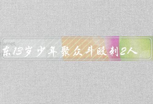 广东13岁少年聚众斗殴刺2人