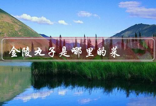 金陵丸子是哪里的菜