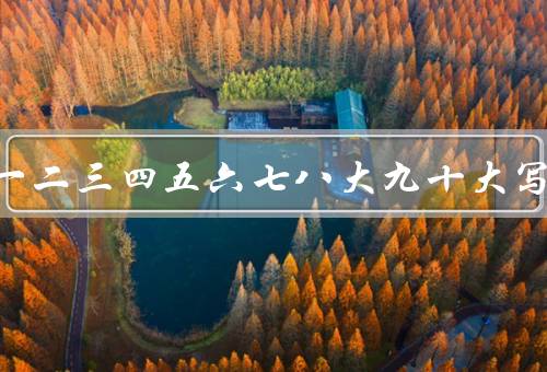 大写一二三四五六七八大九十大写