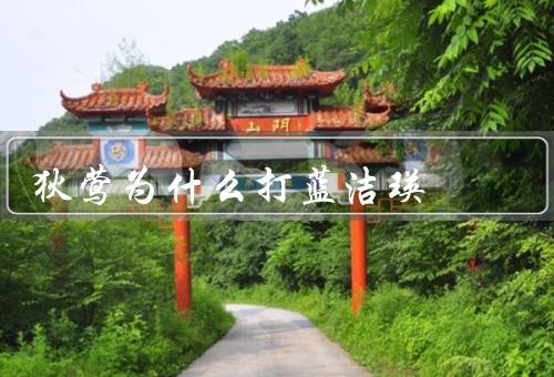 狄莺为什么打蓝洁瑛