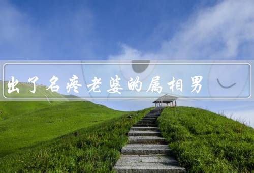 出了名疼老婆的属相男