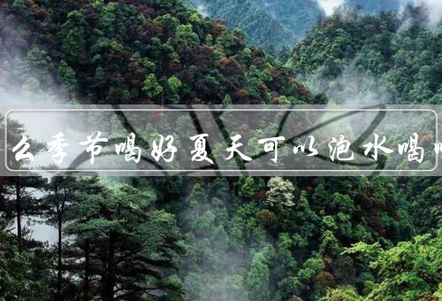 陈皮什么季节喝好夏天可以泡水喝吗